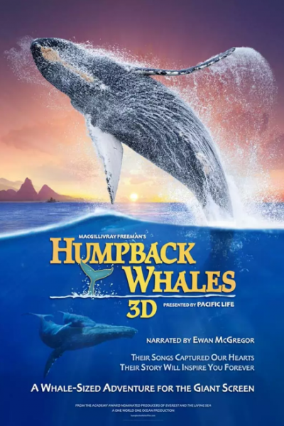 فيلم Humpback Whales 2015 مترجم