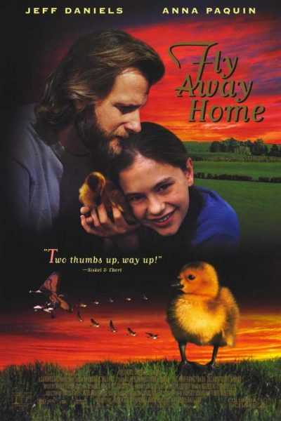فيلم Fly Away Home 1996 مترجم