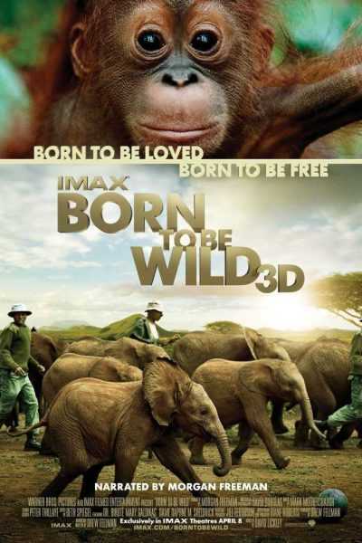 فيلم Born To Be Wild 2011 مترجم