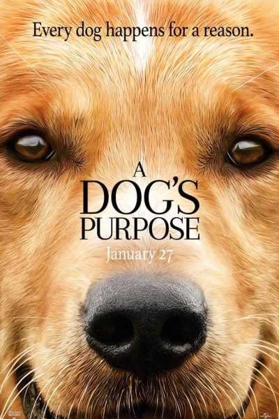 فيلم A Dog’s Purpose 2017 مترجم