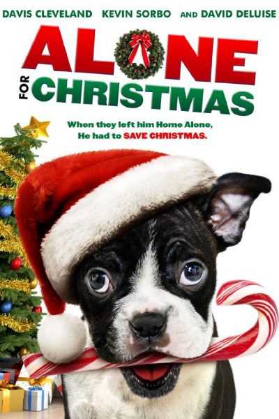 فيلم Alone for Christmas 2013 مترجم
