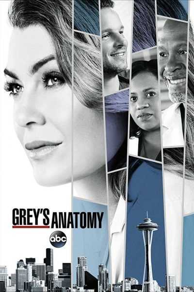مسلسل Greys Anatomy