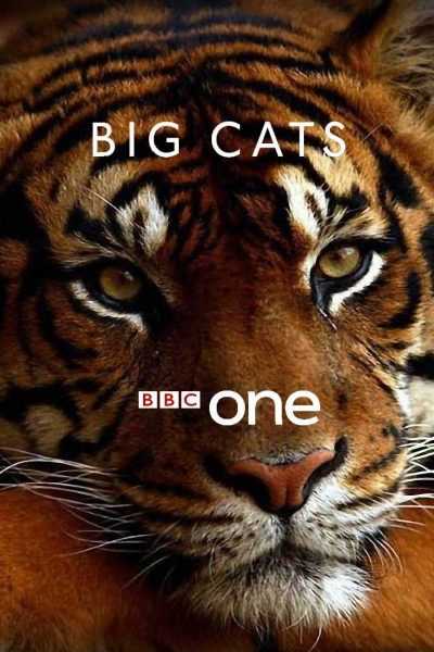 مسلسل Big Cats الموسم الأول