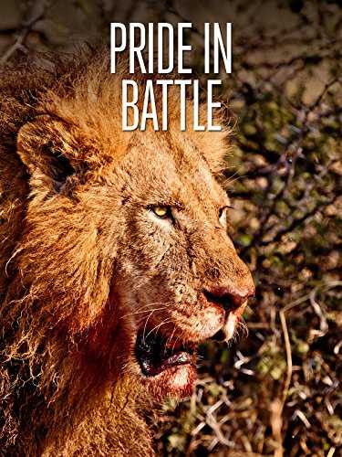 فيلم Pride in Battle 2010 مترجم