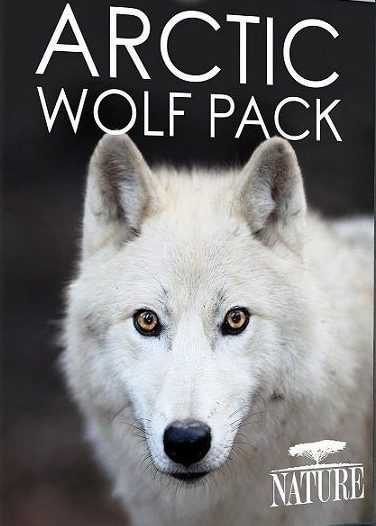 فيلم PBS Nature Arctic Wolf Pack 2018 مترجم