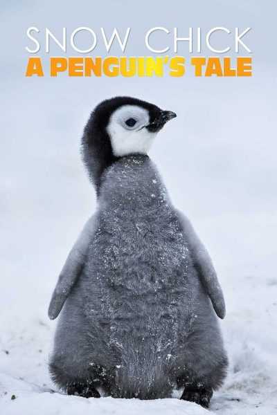 فيلم Snow Chick A Penguin’s Tale 2015 مترجم