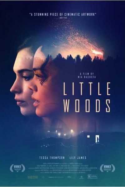فيلم Little Woods 2018 مترجم