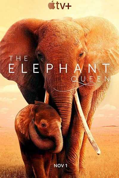 فيلم The Elephant Queen 2019 مترجم