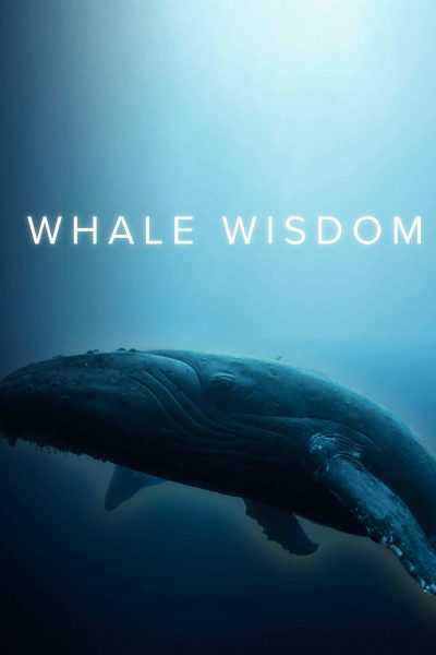 فيلم Whale Wisdom 2019 مترجم