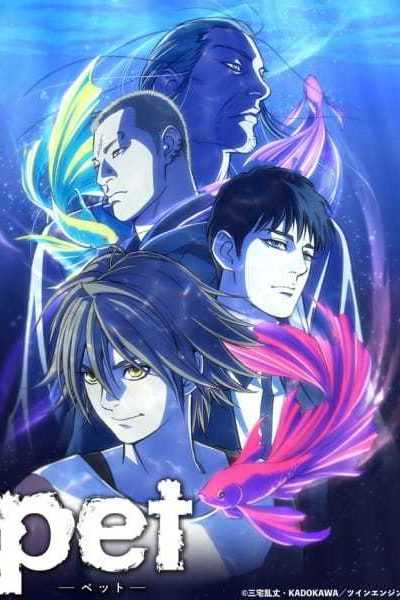 أنمي Pet