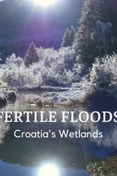 فيلم Fertile Floods: Croatia’s Wetlands 2018 مترجم