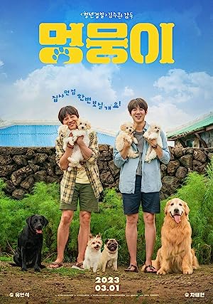 فيلم My Heart Puppy 2023 مترجم