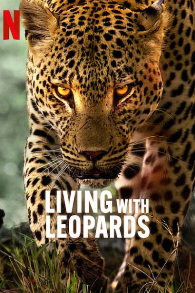 فيلم Living with Leopards 2024 مترجم