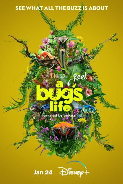 مسلسل A Real Bug’s Life الموسم الأول