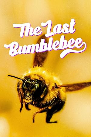 فيلم The Last Bumblebee 2024 مترجم