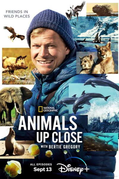 مسلسل Animals Up Close with Bertie Gregory الموسم الأول
