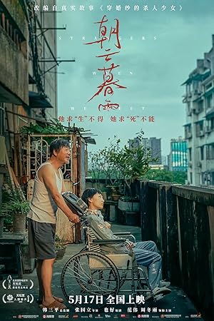 فيلم Strangers When We Meet 2024 مترجم