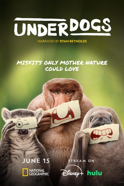 مسلسل Underdogs الموسم الاول