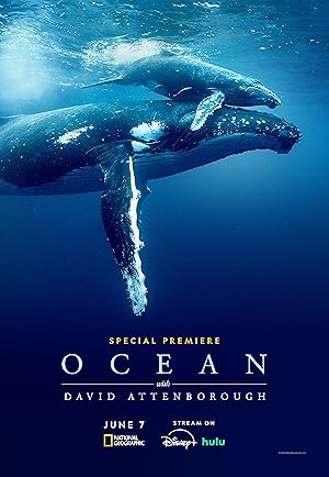 فيلم Ocean with David Attenborough 2025 مترجم