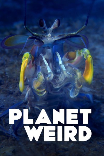 مسلسل Planet Weird الموسم الأول