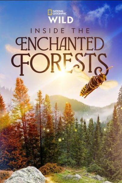 مسلسل Inside the Enchanted Forests الموسم الأول