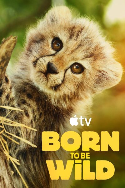 مسلسل Born to be Wild الموسم الاول