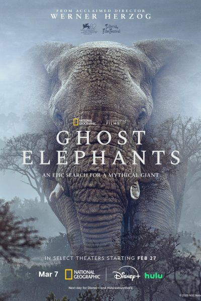 فيلم Ghost Elephants 2026 مترجم