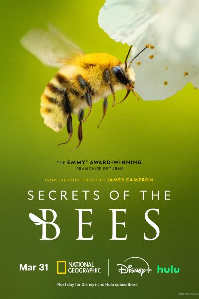 مسلسل Secrets of the Bees الموسم الأول